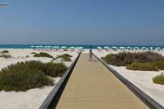 AbuDhabi_1__12