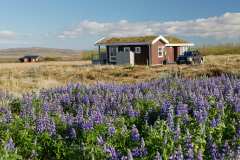 Blue View Cabin 5B