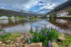 in und um Seyðisfjörður