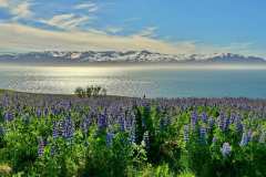 IHusavik - ca. 5 km nördlich der Stadt