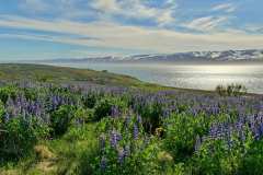 Husavik - ca. 5 km nördlich der Stadt