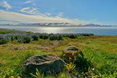 Husavik - ca. 5 km nördlich der Stadt