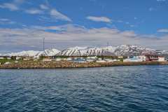 Hauganes - Whale Watching