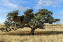 Kalahari Anib Lodge