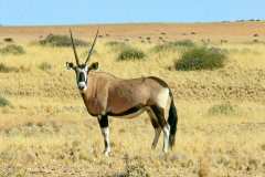 Garup