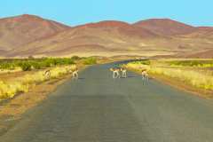 Namib Naukluft Park