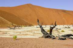 Namib Naukluft Park, Sossusvlei