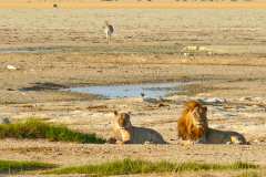 Etosha Nationalpark