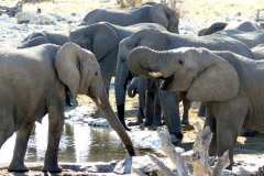 Etosha Nationalpark