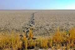 Etosha Nationalpark