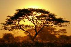 Etosha Nationalpark