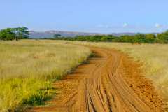 Waterberg Guest Farm