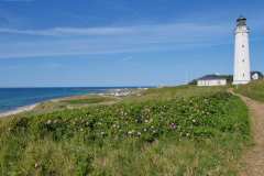 Hirtshals