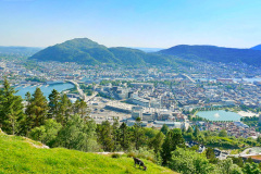 Bergen