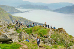 Insel Runde - Papageientaucher