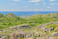 Insel Leka