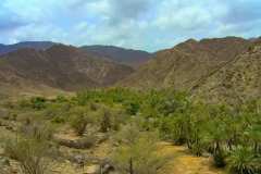 Wadi Al Hayl