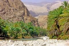 Wadi Bani Khalid