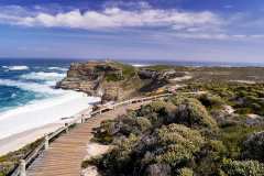 Vom Cape Point zum Kap der guten Hoffnung 