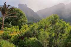 Der Botanische Garten von Kirstenbosch 
