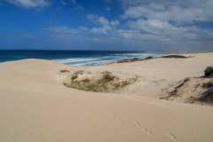de Hoop Nature Reserve