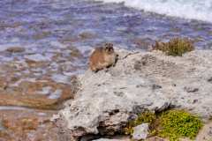 de Hoop Nature Reserve