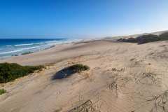 de Hoop Nature Reserve