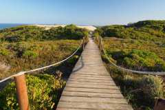 de Hoop Nature Reserve