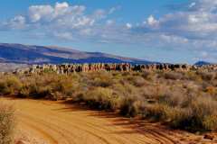 Kagga Kamma Nature Reserve, Cederberge