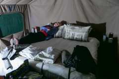 Schotia private game reserve, Nähe Addo Elephant Park