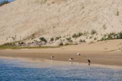 Ausflug, Alexandria Dunefield