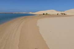 Ausflug, Alexandria Dunefield