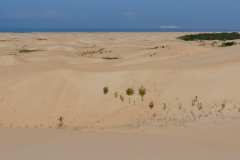 Ausflug, Alexandria Dunefield