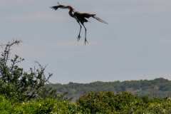 Ausflug, Alexandria Dunefield