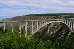 Bloukrans Bridge, Bungy Jumping