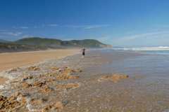 Natures Valley, Tsitsikamma NP