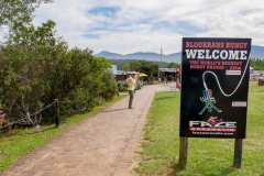 Bloukrans Bridge, Bungy Jumping
