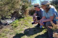  TenikwaTenikwa Wildlife Rehabilitation & Awareness Centre bei Plettenberg