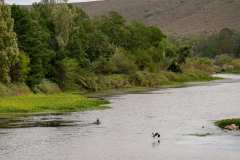 Aloe Ridge Lodge, bei Swellendam