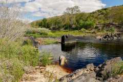 Aloe Ridge Lodge, bei Swellendam