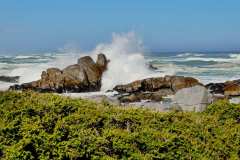 Im West Coast Nationalpark