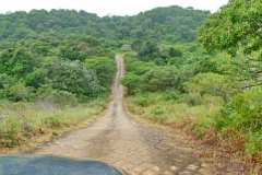 Unterwegs im iSimangaliso Wetland Park