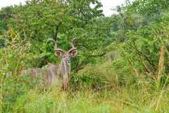 Unterwegs im iSimangaliso Wetland Park