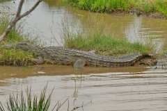 Unterwegs im iSimangaliso Wetland Park