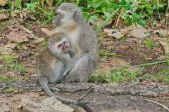 Unterwegs im iSimangaliso Wetland Park