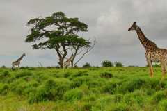 Unterwegs im iSimangaliso Wetland Park