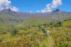 Wanderung zu den Tugela Falls, Drakensberge