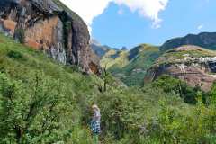 Wanderung zu den Tugela Falls, Drakensberge