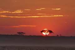 In der Ndaka Safari Lodge und unterwegs im Nambiti Private Reserve. Die Pirschfahrten sind inklusive.