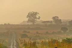 In der Ndaka Safari Lodge und unterwegs im Nambiti Private Reserve. Die Pirschfahrten sind inklusive.